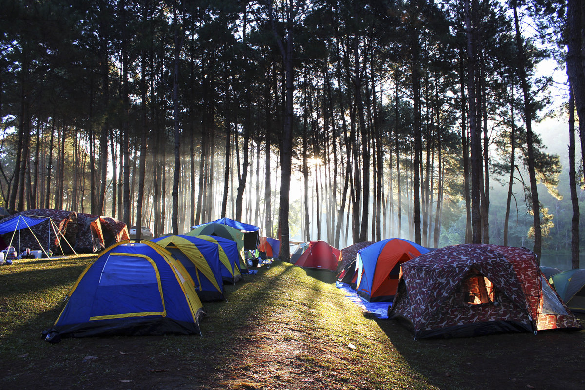 Где отдохнуть с палатками в подмосковье: кемпинги, базы отдыха и дикие места