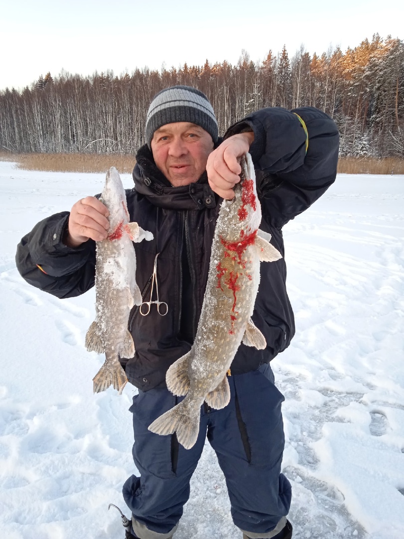 Рыбалка в ленинградской области