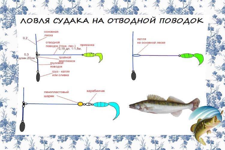 Отводной поводок на судака: ловля и выбор приманок