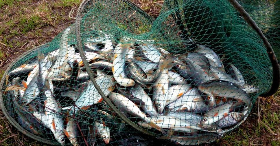 Смена рыбного места — залог хорошего улова