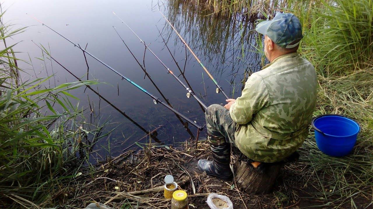 Рыбалка на карася – ловля зимой, весной, летом и осенью + видео и фото