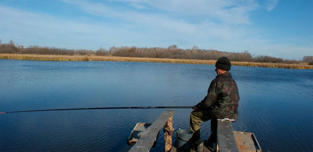 15 лучших рыболовных мест калужской области. бесплатные и платные | животный мир