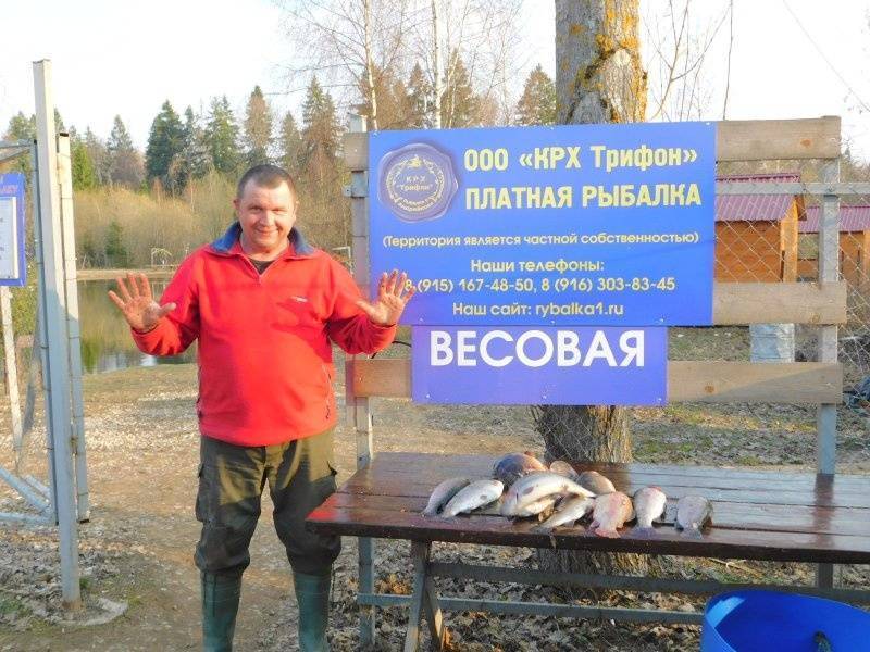 Рыбалка в псковской области: топ мест для ловли трофеев