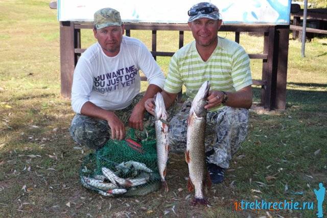 Рыбалка на ахтубе и в дельте волги приятный отдых для любителей рыбной ловли