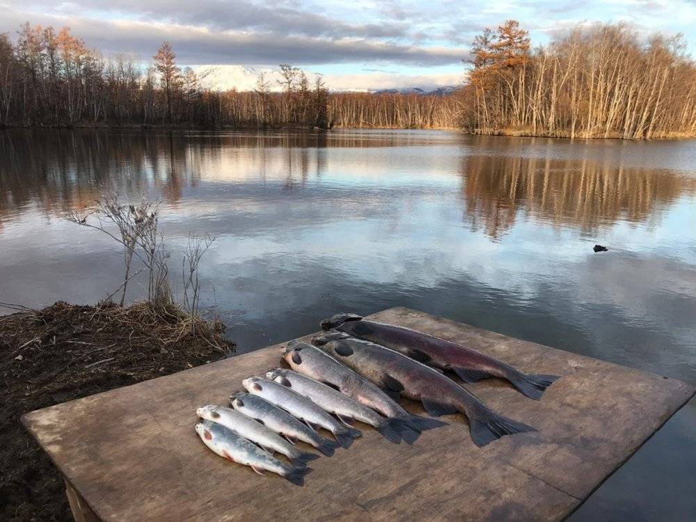 Рыболовные туры и платная рыбалка в нижегородской области