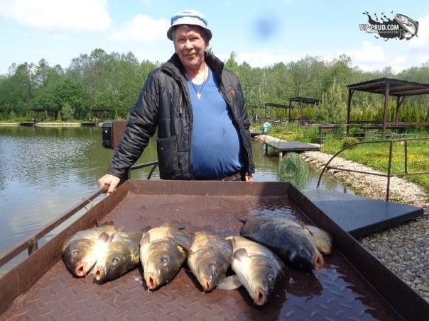 Платная рыбалка в уральском федеральном округе россии, каталог платных водоемов