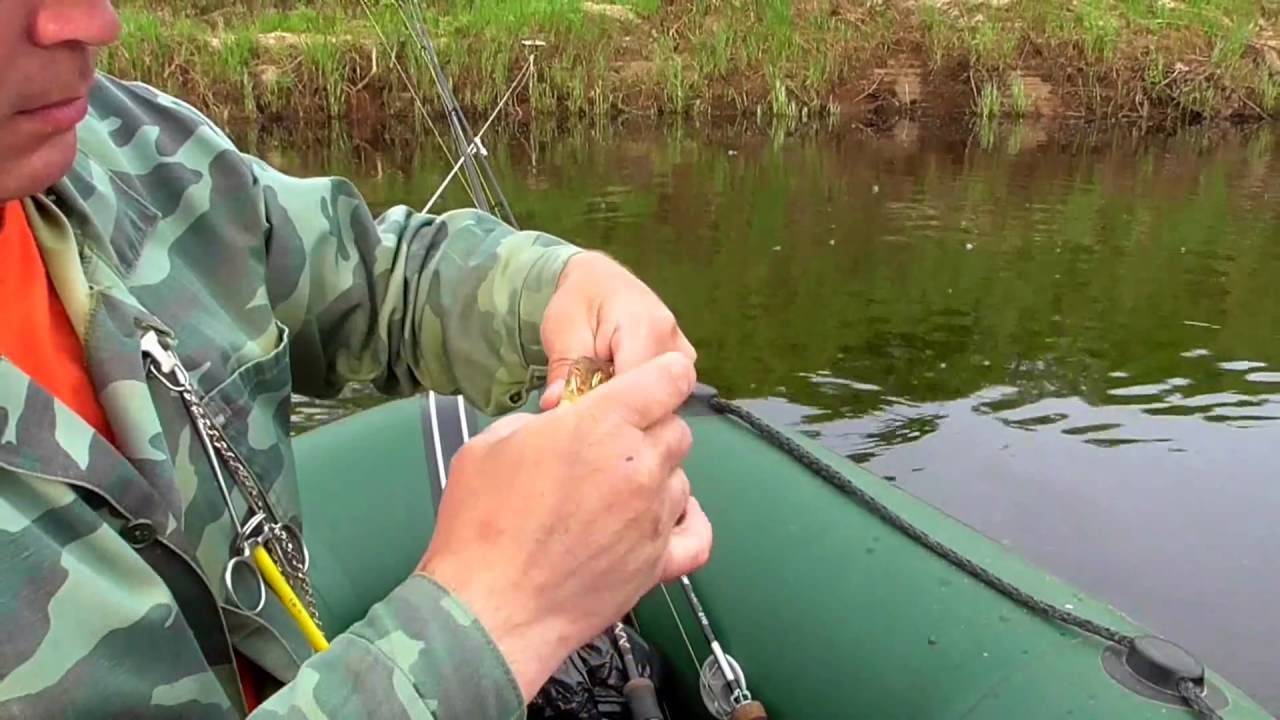 Рыбалка на плотву: смотреть видео онлайн и бесплатно на prorybu.ru