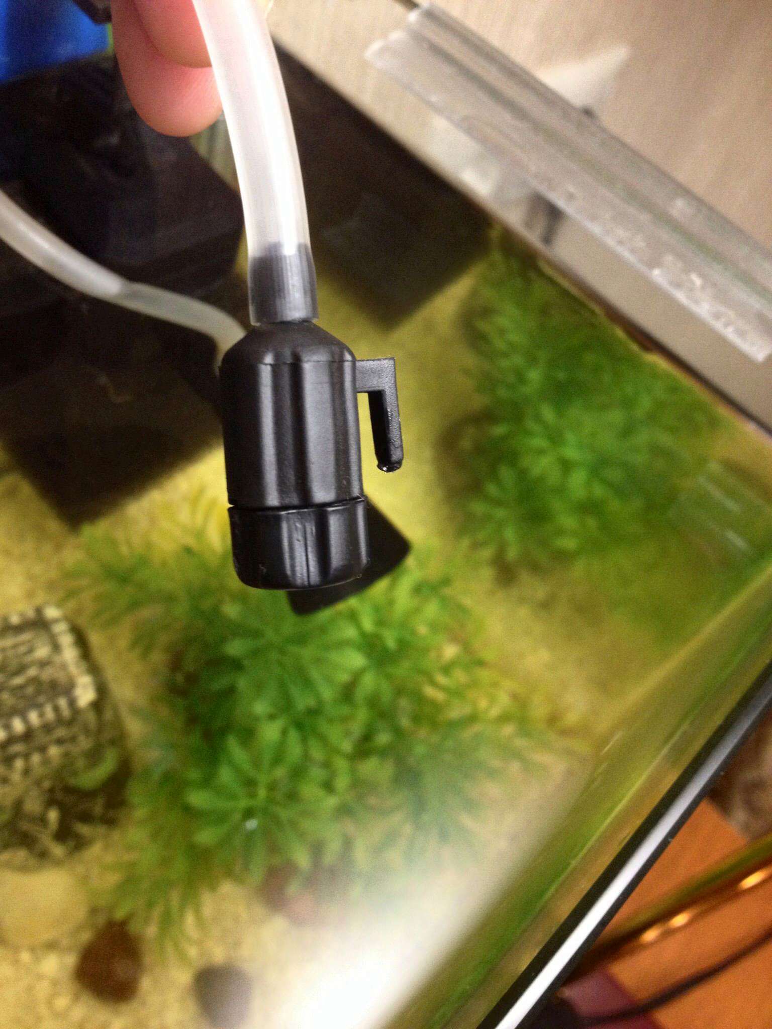 Внешний фильтр для аквариума: устройство прибора, как сделать своими руками фильтрующие элементы