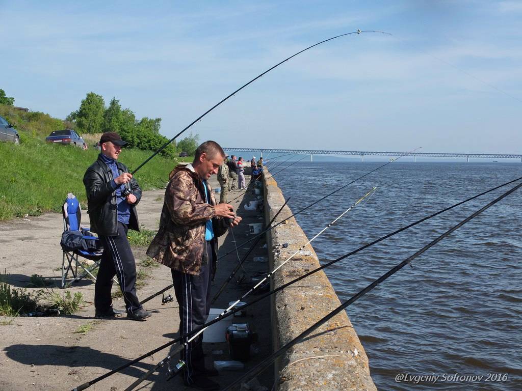 Рыбалка в ульяновской области | карта рыболовных мест