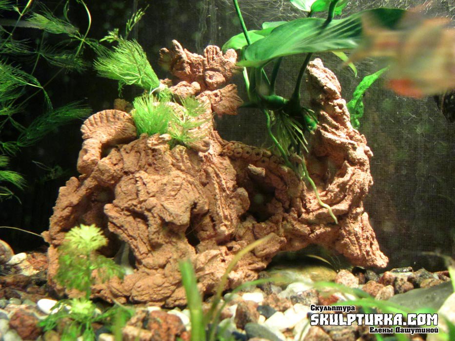 Грот для аквариума своими руками: из камней, дерева, как сделать