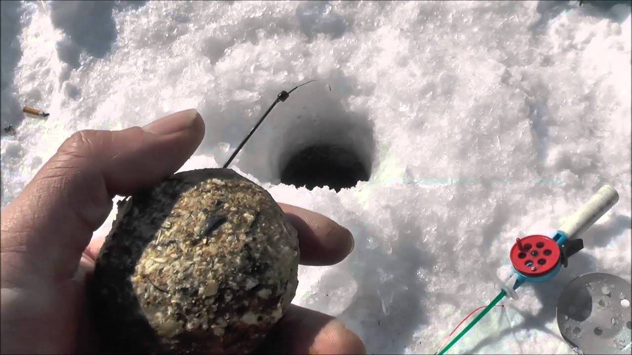 Что нужно знать о зимней рыбалке на карпа