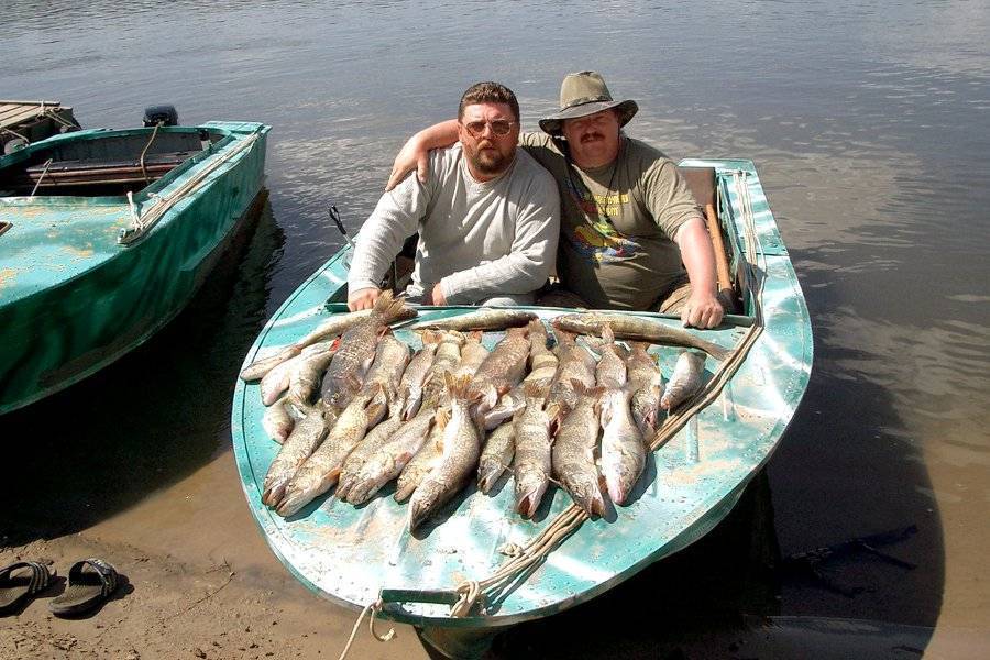 Приманки и наживки для рыбалки на волге, на что идет рыбалка в астрахани и рыбалка на ахтубе