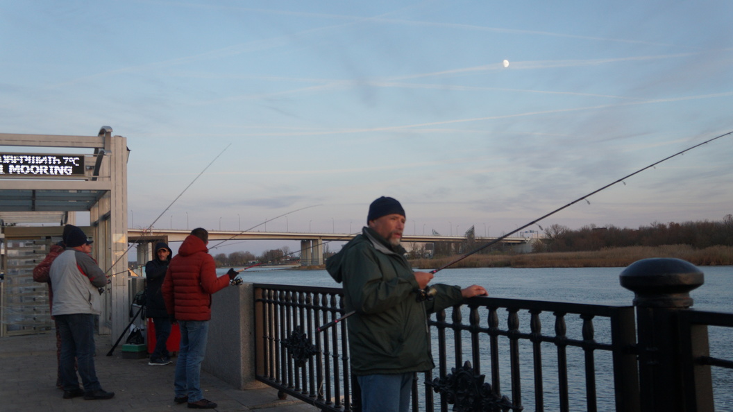Правила рыбалки в ростовской области (2021 г.)