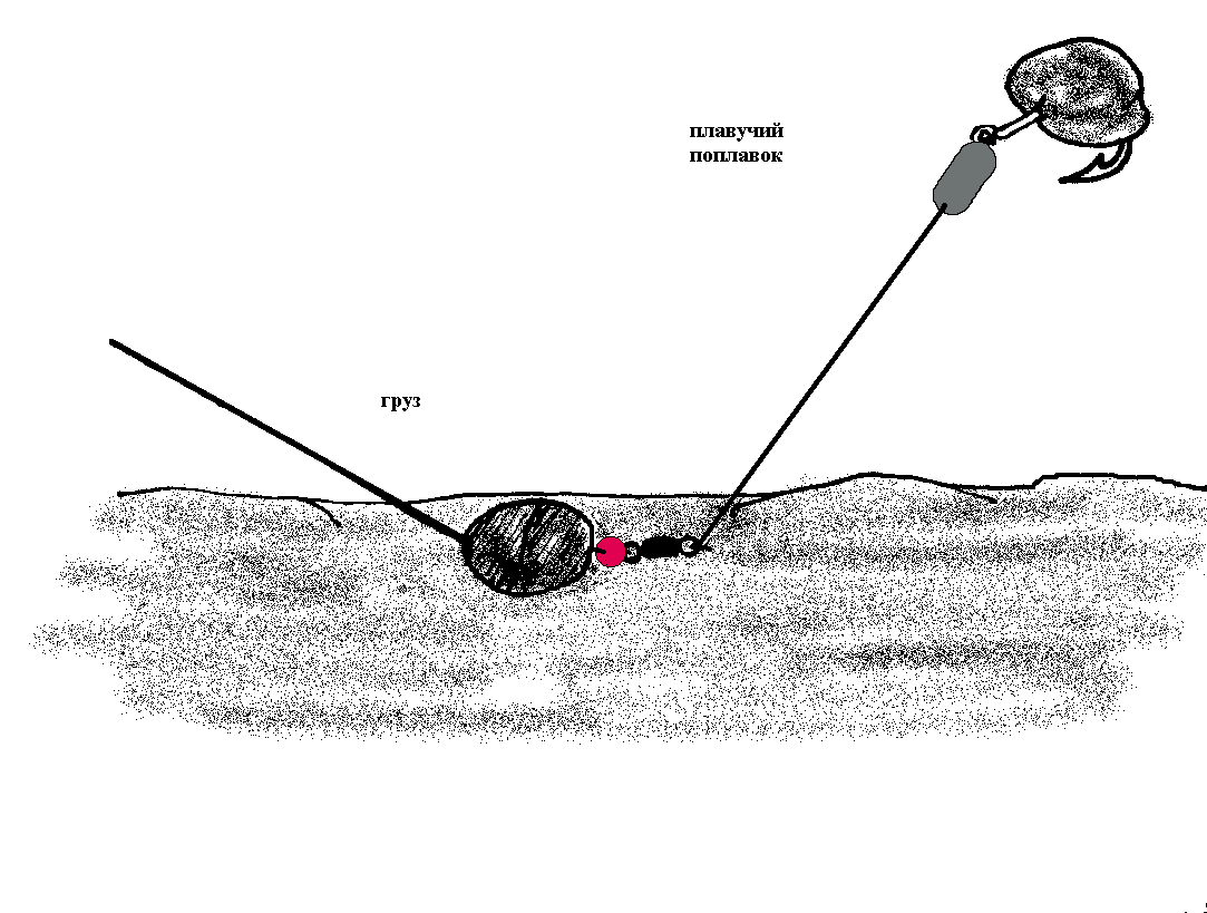 Как поймать сома на донку c берега – 2 варианта и техника ловли