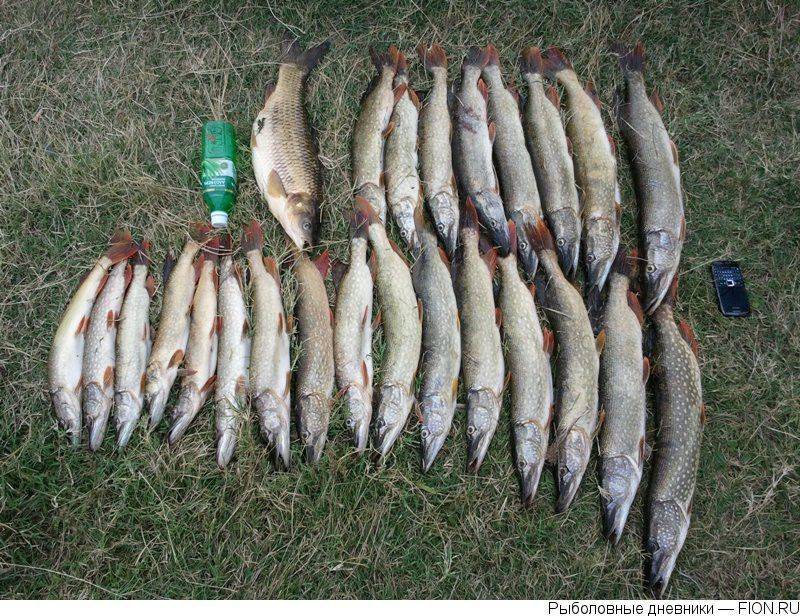 Рыбалка в якутии (14) | карта рыболовных мест