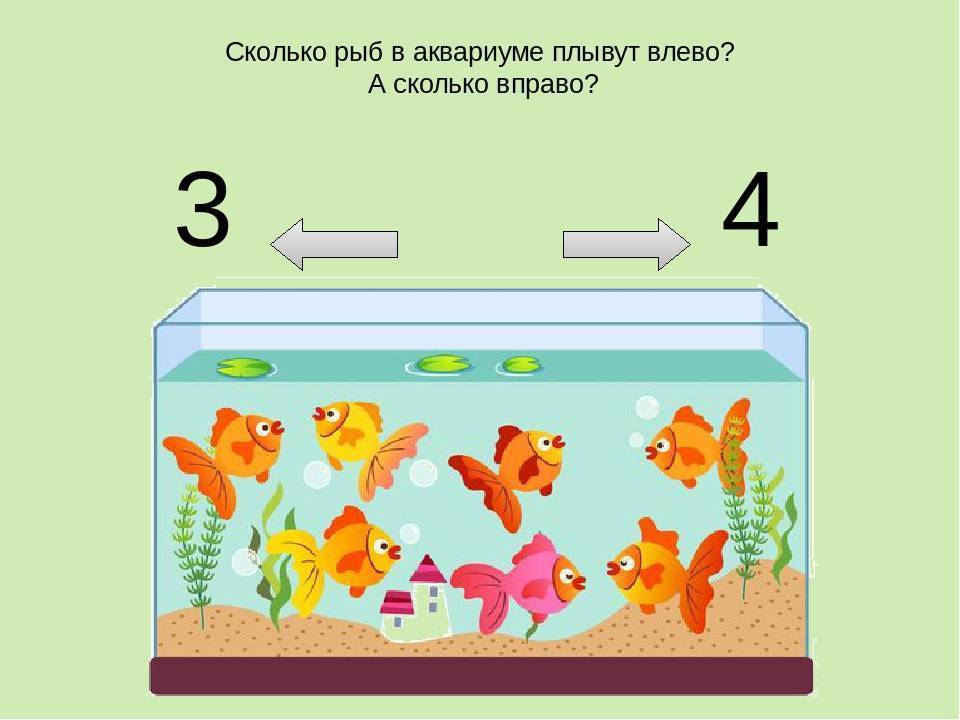 Играть группа рыбки. Игровое упражнение «рыбки в аквариуме».. Аквариум и рыбки по занятию ФЭМП. Рыбки математика для дошкольников. Рыбки в аквариуме по математике в средней группе.