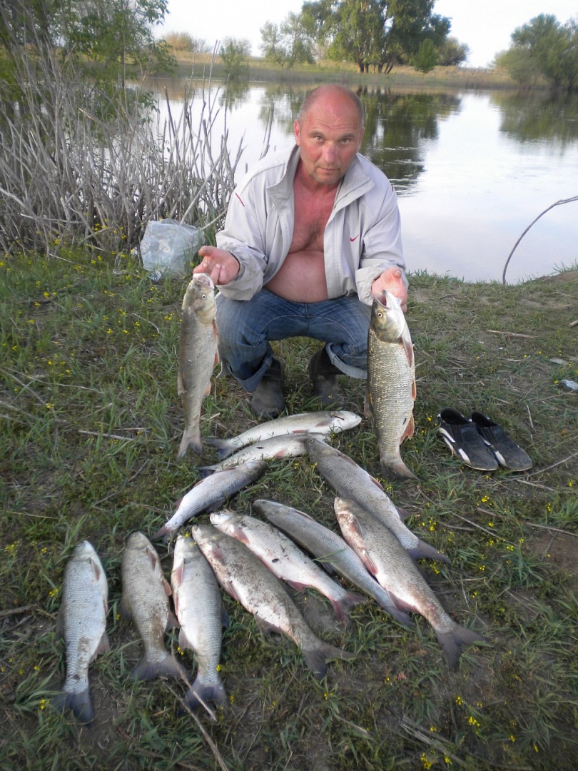 Платная рыбалка в астраханской области: рыболовные туры, базы и водоемы астраханской области