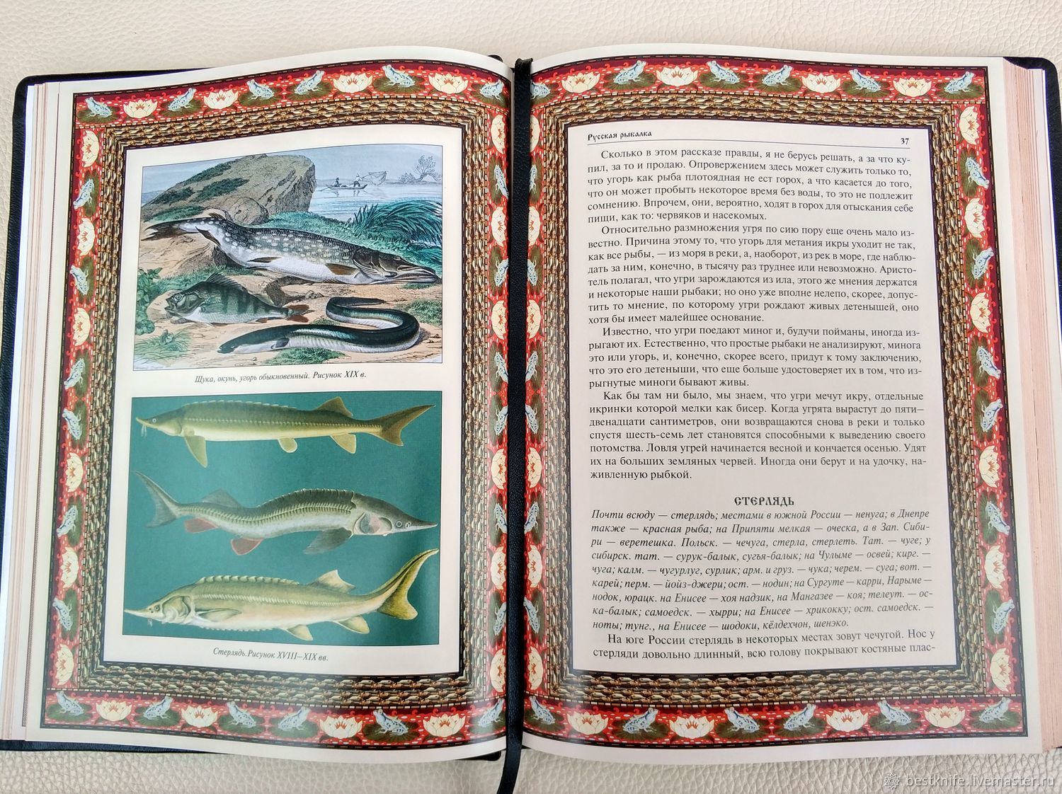 Книги о рыбалке скачать бесплатно или купить в хорошем качестве