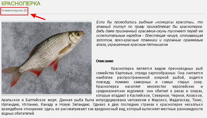 ✅ угай — cправочник рыболова. - fishyarm.ru