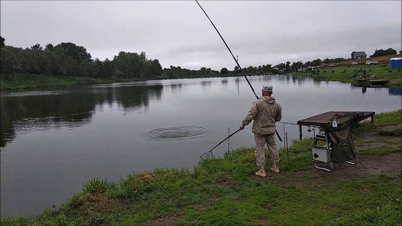 Где сейчас ловят рыбу в ленинградской области | санкт-петербург центр