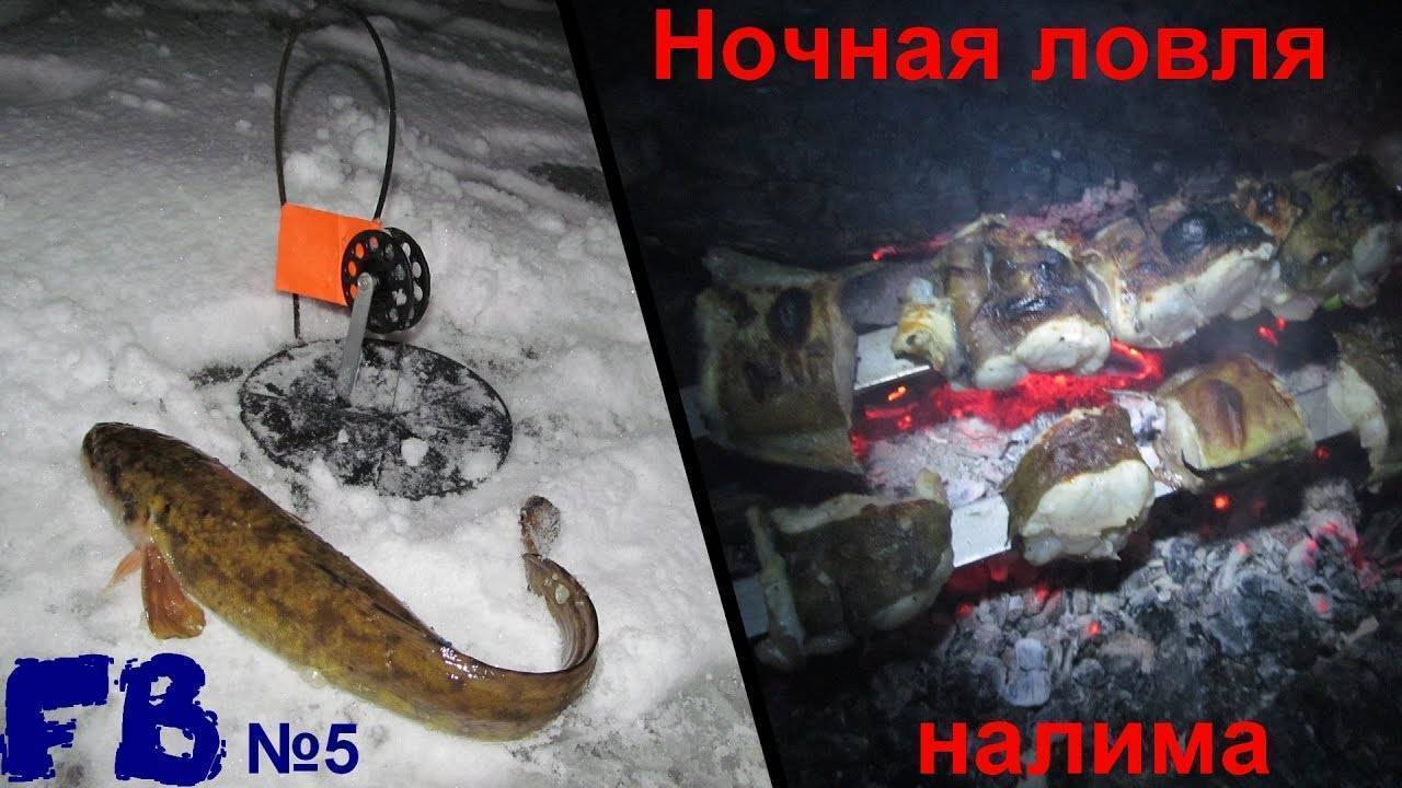 Ловля налима на жерлицы зимой | советы и секреты