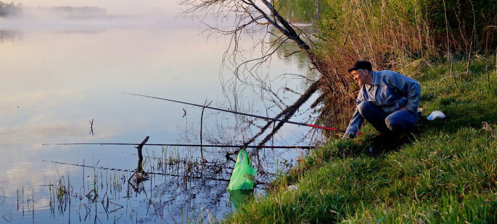 20 лучших видео о рыбалке на карася