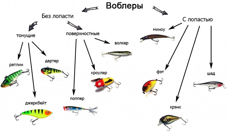 Приманка для рыбы: какую выбрать искусственную или натуральную?