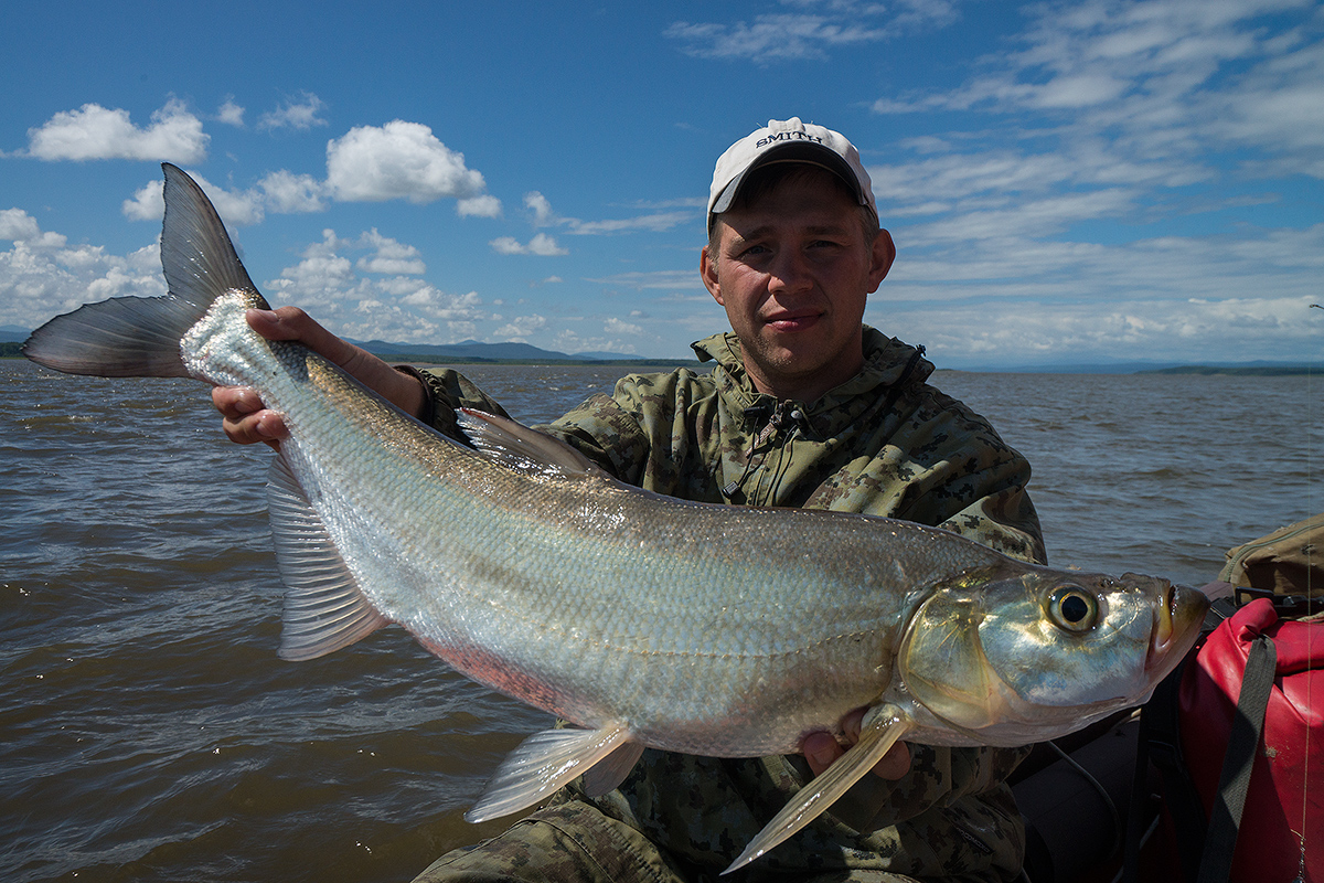 Великая (чукотский автономный округ): рыбалка и какая рыба водится