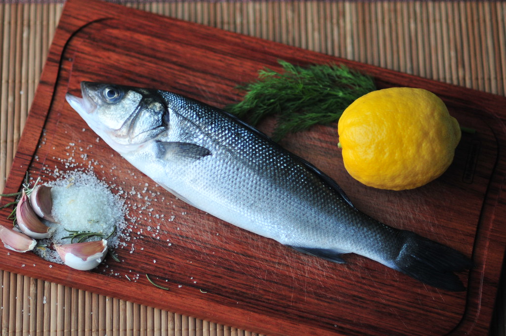 Сибас: описание рыбы, калорийность, места обитания, нерест, способы ловли и образ жизни