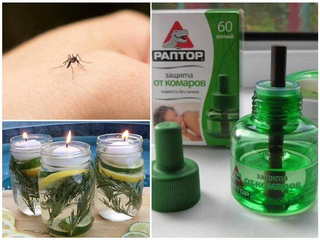 Натуральные средства от комаров и других насекомых своими руками