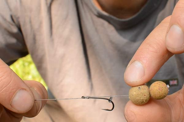 Как ловить на бойлы карпа: инструкция по выбору бойлов и оснастки