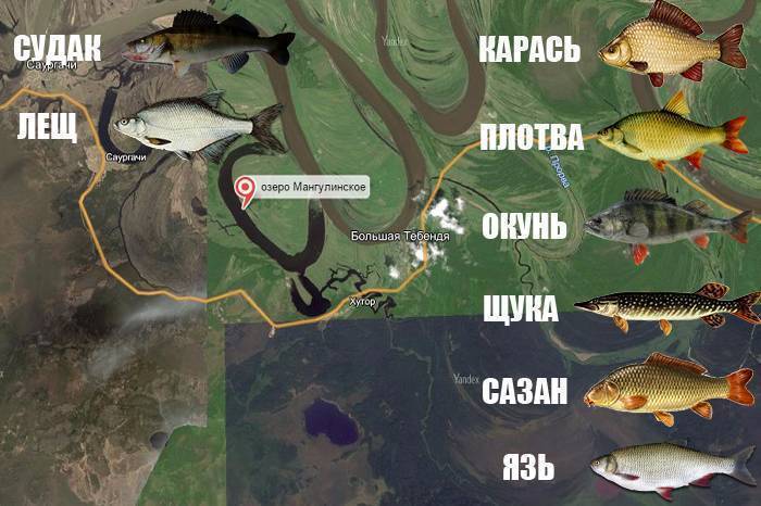 Рыбалка в башкирии: где ловить рыбу на реках и озёрах, платные места лова