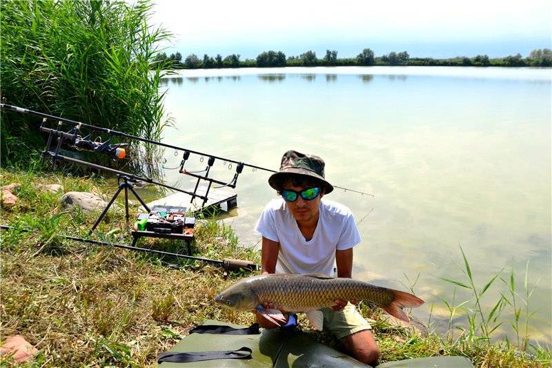 Рыбалка в камчатском крае - читайте на сatcher.fish