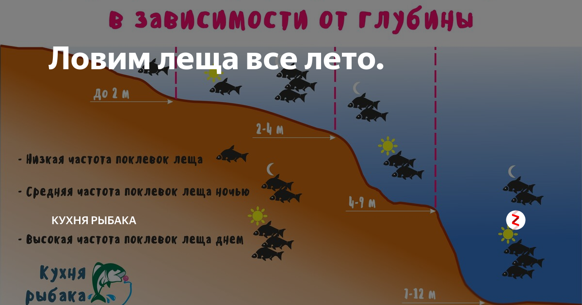 Рыбалка в ростовской области: лучшие места на карте топ-10
