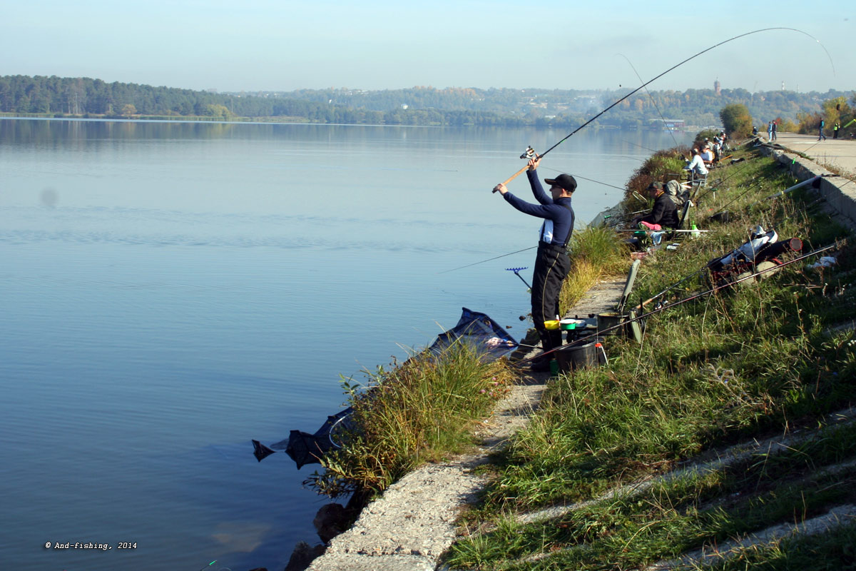Отчеты о платной рыбалке в тульской области - фото и видео с водоёмов