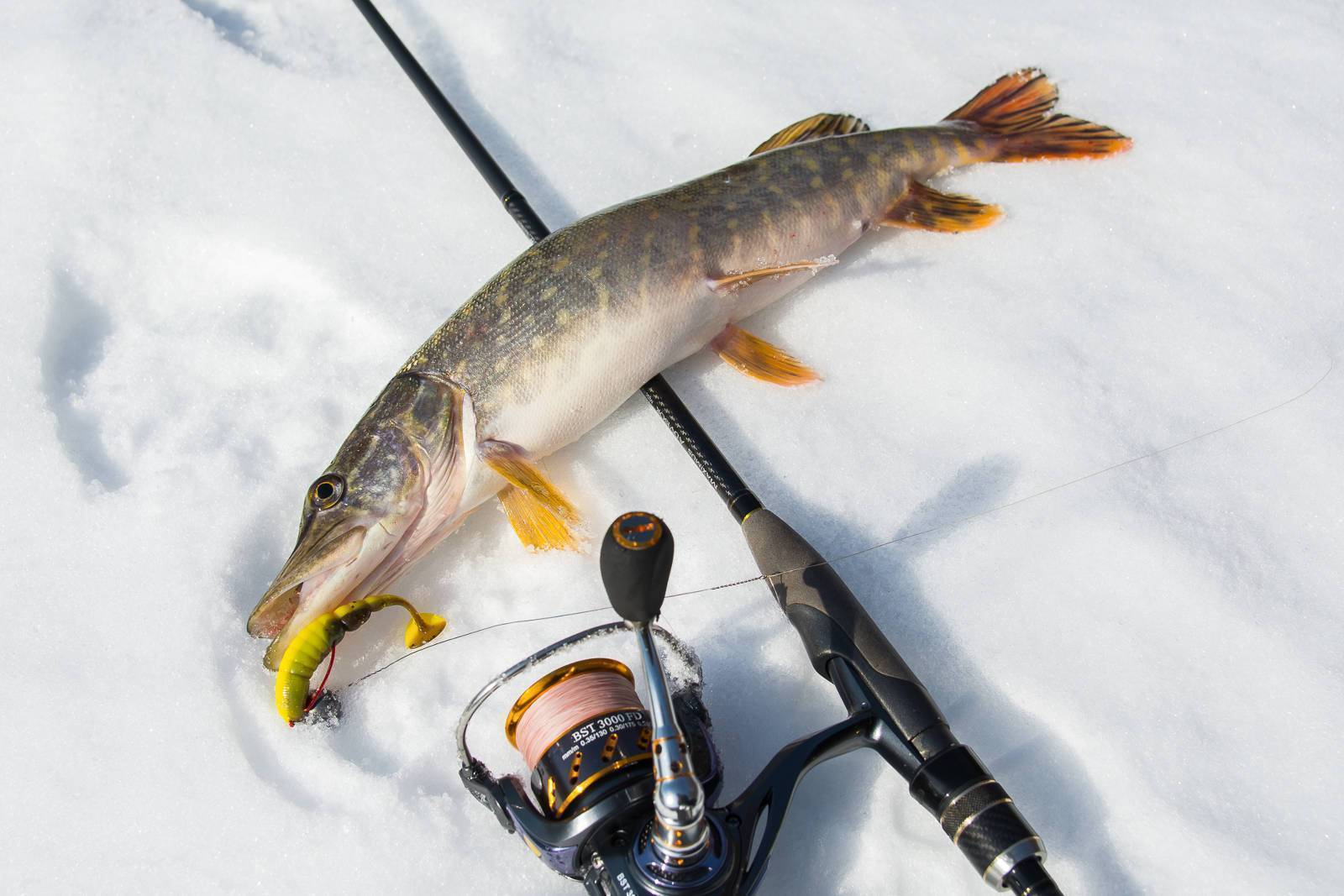 Ловля щуки на жерлицы по последнему льду - статьи о рыбалке