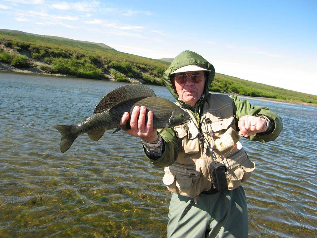 Рыбалка на реке лена - все про рыбалку