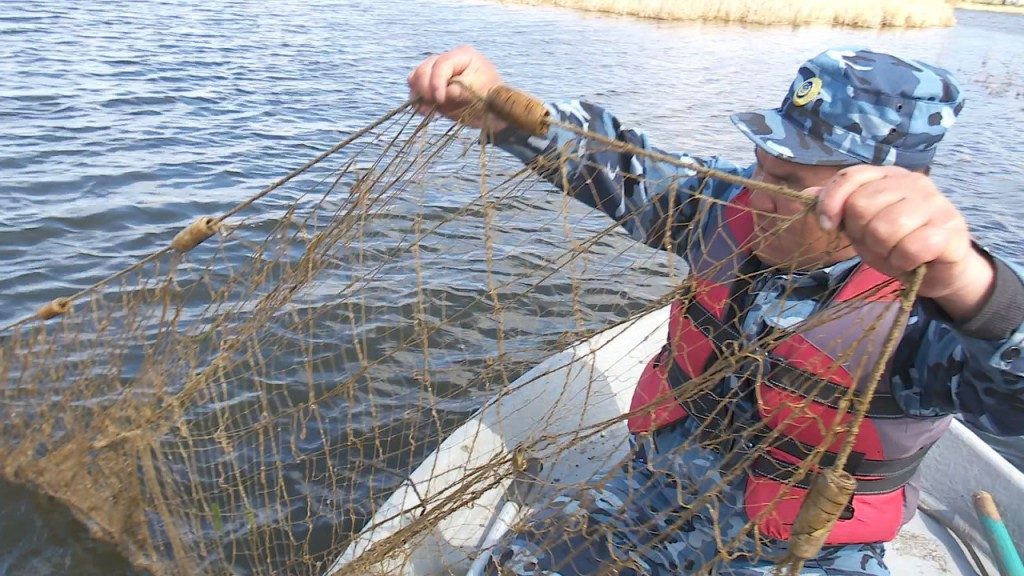 Штраф за ловлю рыбы сетями в 2021 году: размер и сумма наказания, как оплачивать