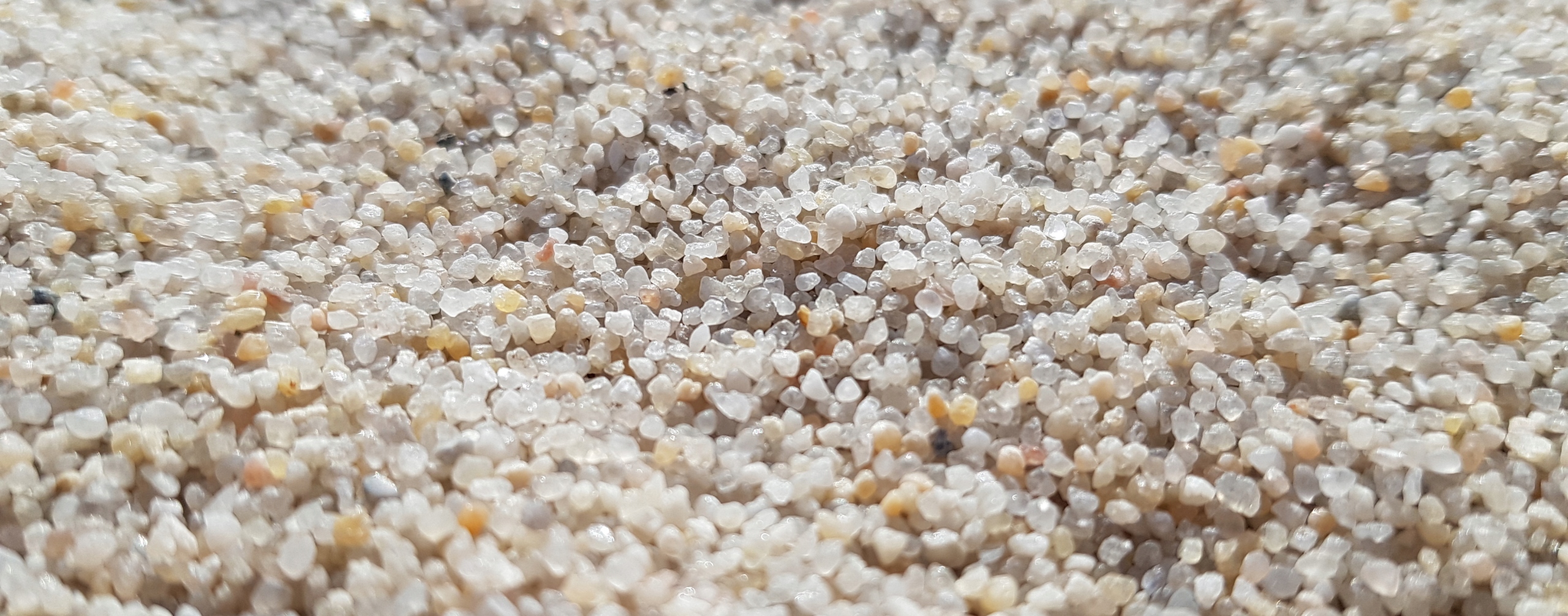 Песок - грунт для аквариума, его виды: кварцевый, белый, речной и черный, а также как промыть и чистить его