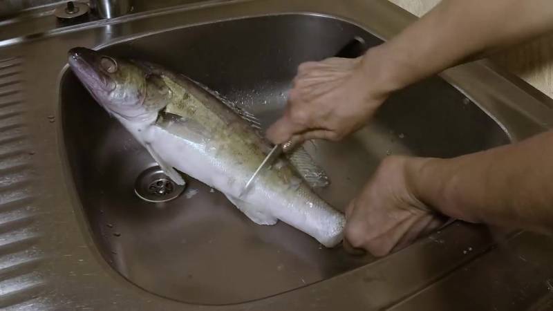 Как правильно и быстро почистить рыбу от чешуи и костей