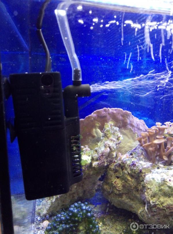 Как установить фильтр в аквариум для рыбок