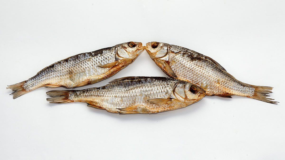 Чехонь фото и описание – каталог рыб, смотреть онлайн
