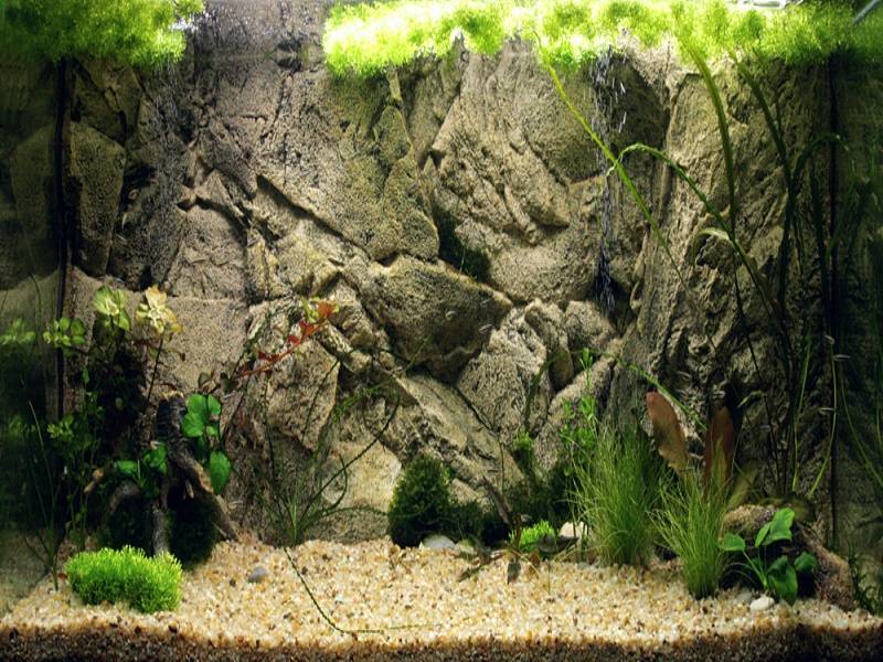 Объемный и пленочный рельефный фон для аквариума: как крепить и клеить
