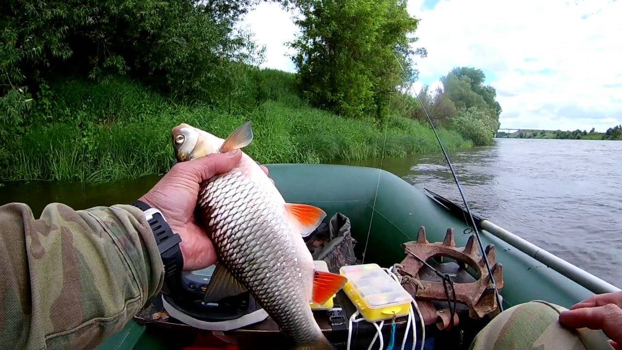 Видео рыбалка 2021: смотреть онлайн ролики о ловле рыбы зимой и летом