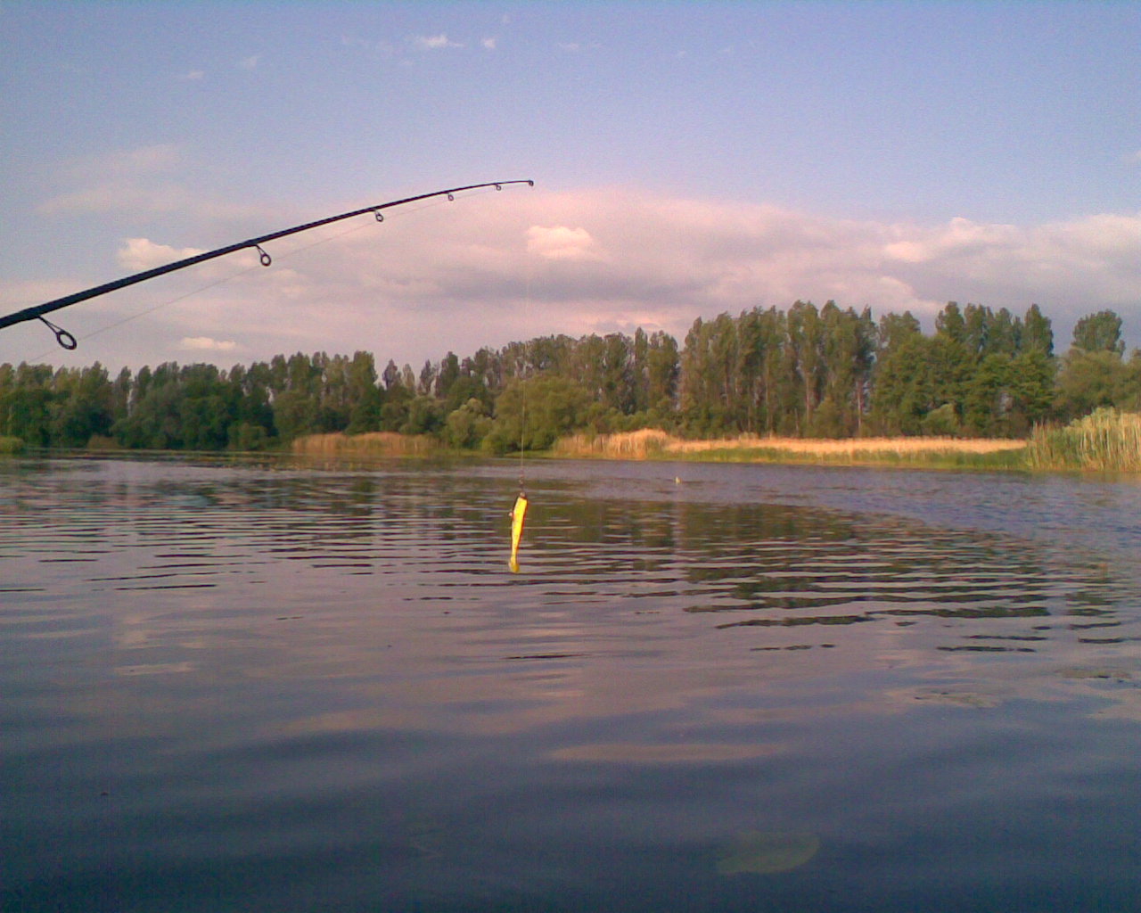 Рыбные места в белгороде и белгородской области