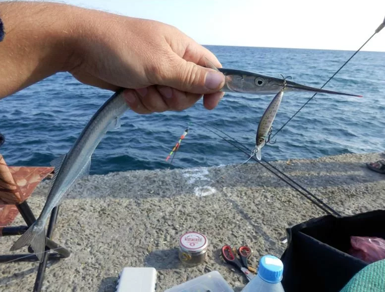 Рыбалка с берега на черном море - суперулов - интернет-портал о рыбалке