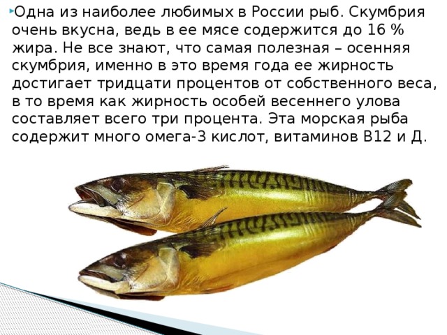 Камбала, ее польза и вред