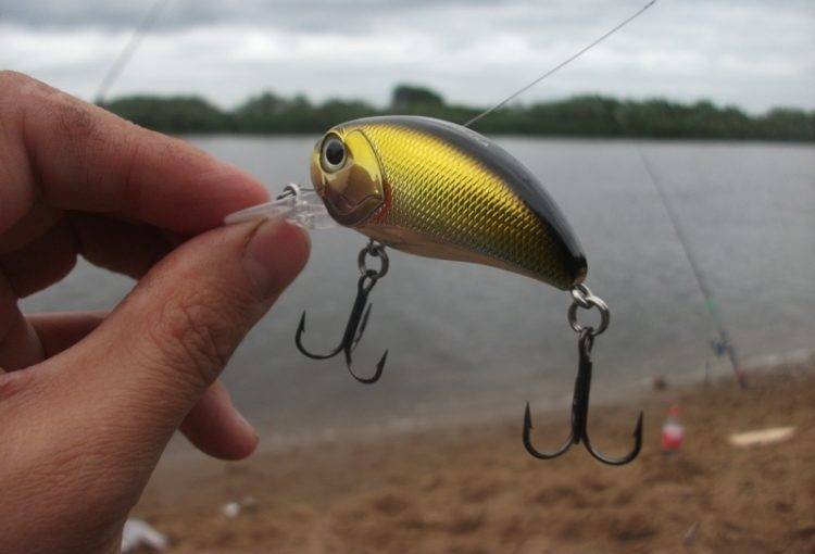 Кренки на щуку: рейтинг лучших кренков на щуку и как ловить