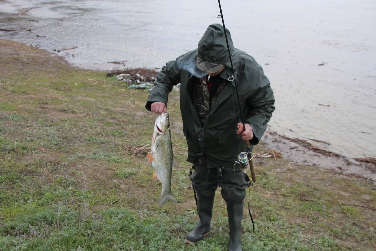 Места для рыбалки в саратовской области – платная и бесплатная рыбалка!