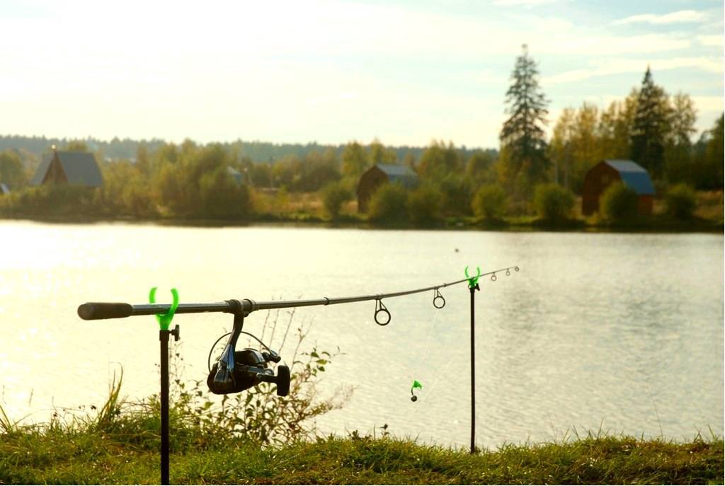 Рыбалка в москве и подмосковье: топ-15 лучших мест, где ловить рыбу